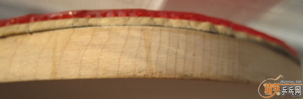 CYPRESS 10MM �� ���ֽ��ģ��Ƚ�Ӳ