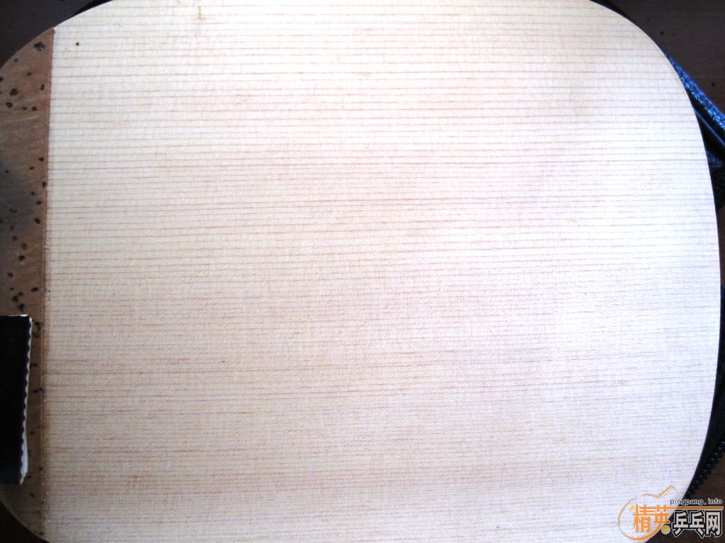 CYPRESS 10MM �� ���ֽ��ģ��Ƚ�Ӳ