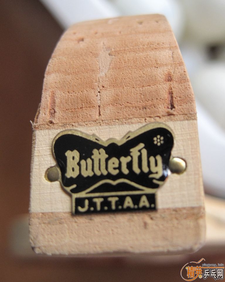 CYPRESS 10MM �� ���ֽ��ģ��Ƚ�Ӳ