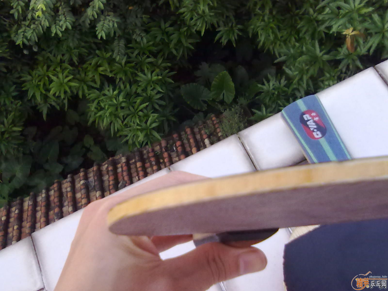 ��9����ˮ����OC��95�´���OC