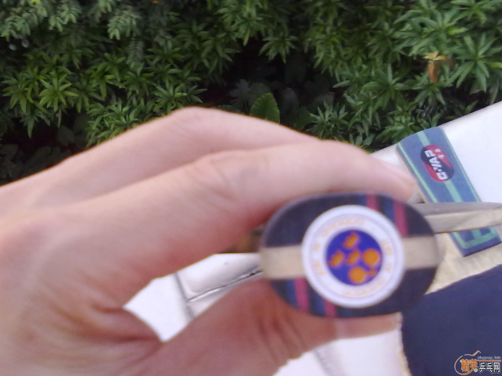 ��9����ˮ����OC��95�´���OC