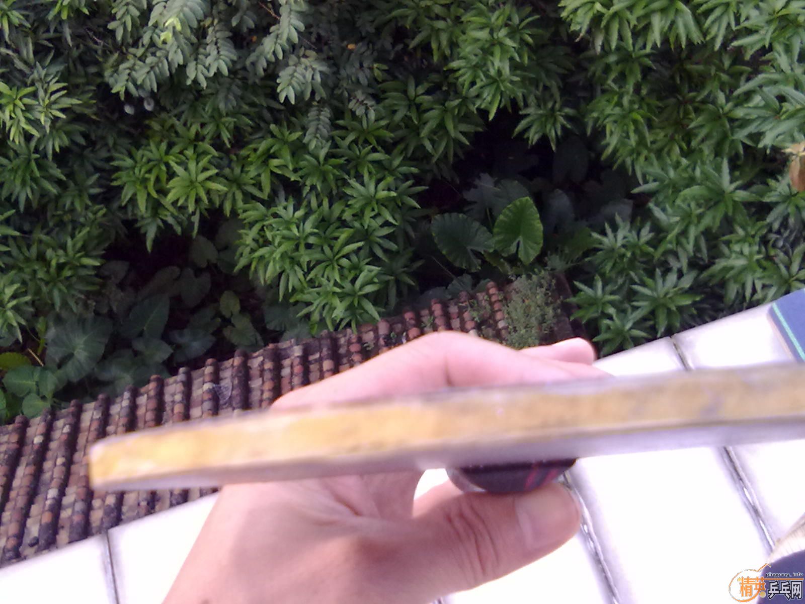 ��9����ˮ����OC��95�´���OC