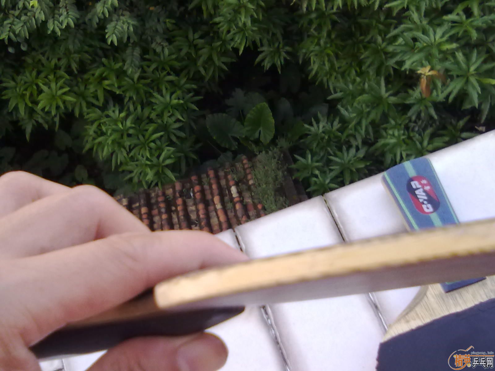 ��9����ˮ����OC��95�´���OC