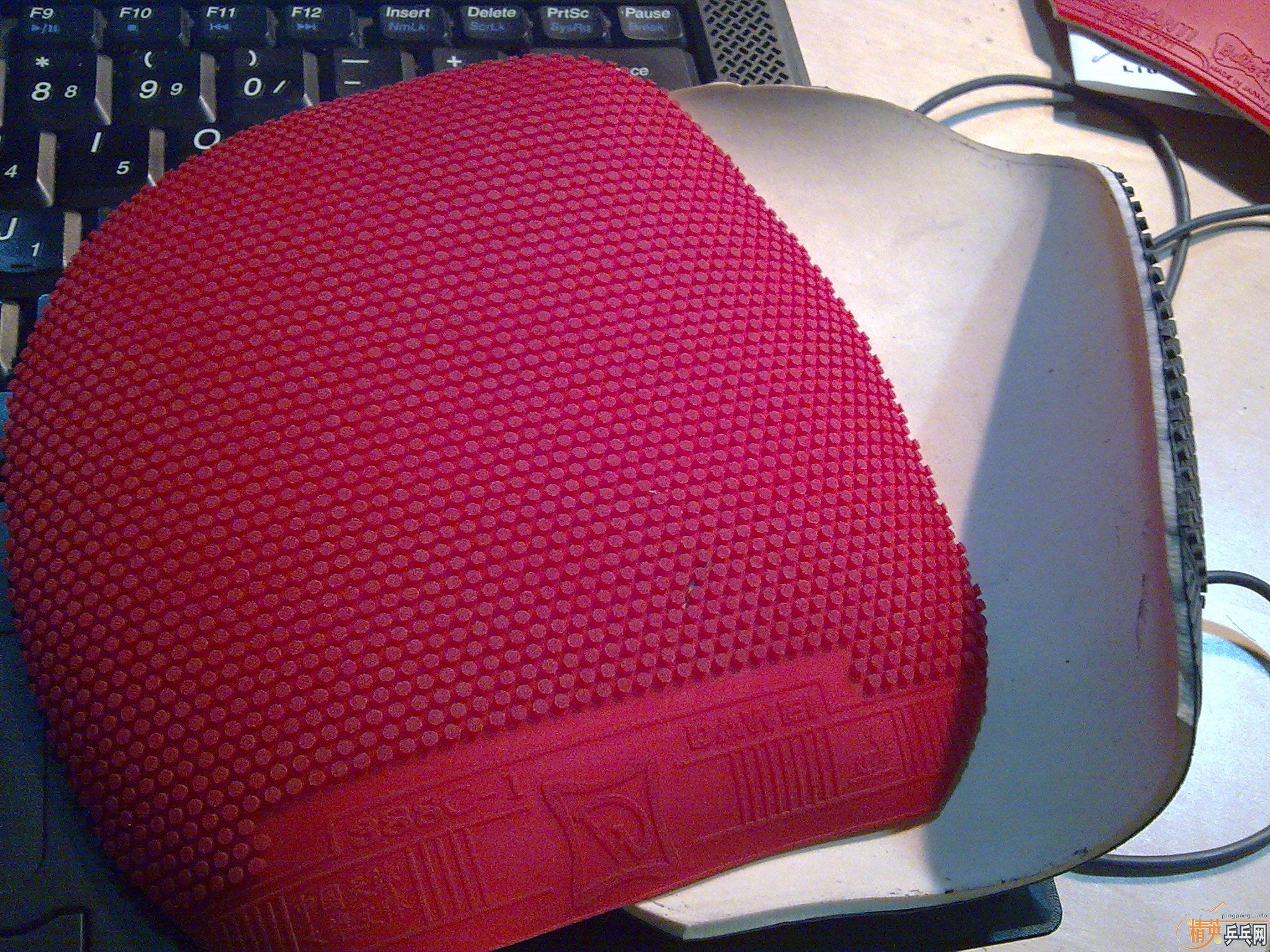 ����̼��Ʒ������520���������Ű볤������ţ300���ʣ���729cream����clʵ�ı�220���ʣ���729sp�����95��