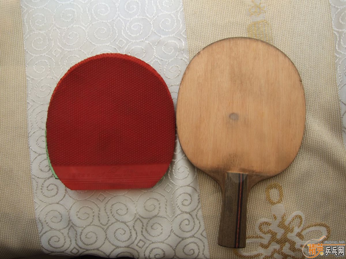 ���Ե����ۣ�֧����������ֱ�����ƺ�������ŵ���˹�ٿ�TO���ɳ��ɻ�����û�����Ѹ���Ȥ��