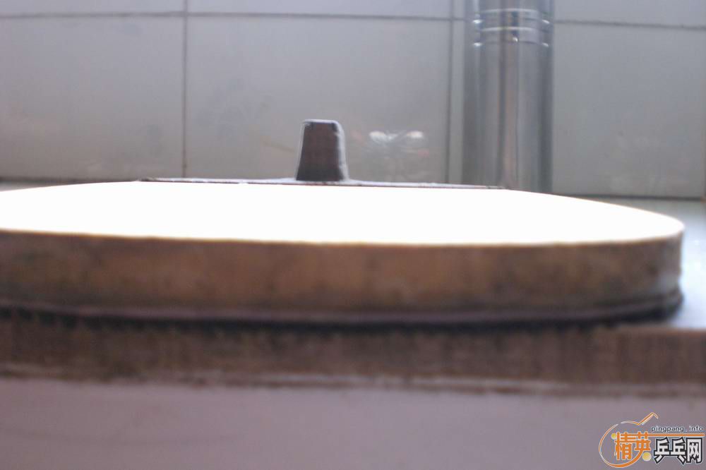 ��������������һֻ