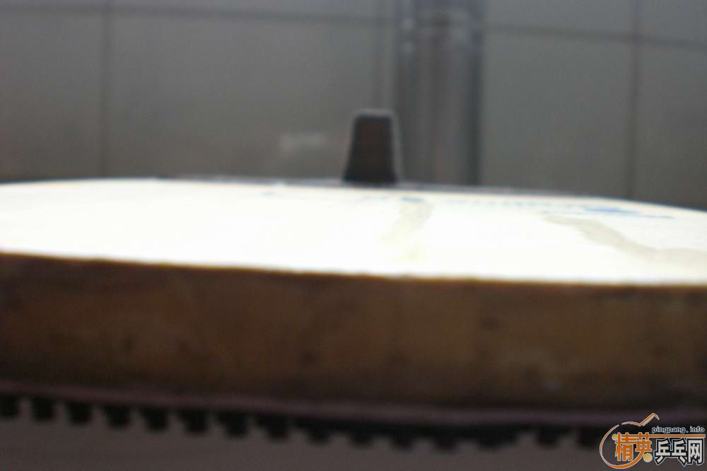 ��������������һֻ