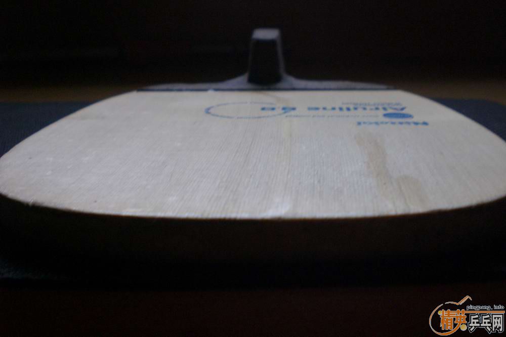 ��������������һֻ