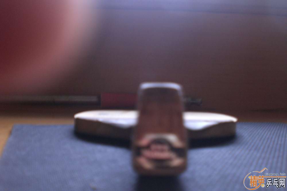 ��������������һֻ