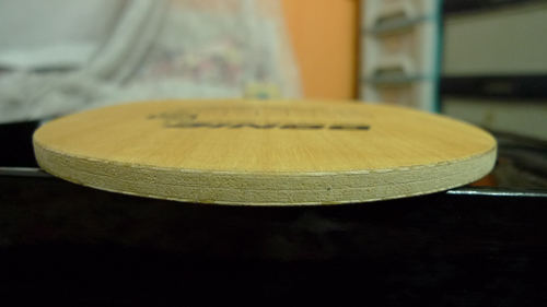 ����ϵ��֮��һ��---------------DONIC����40&��¡̩�������