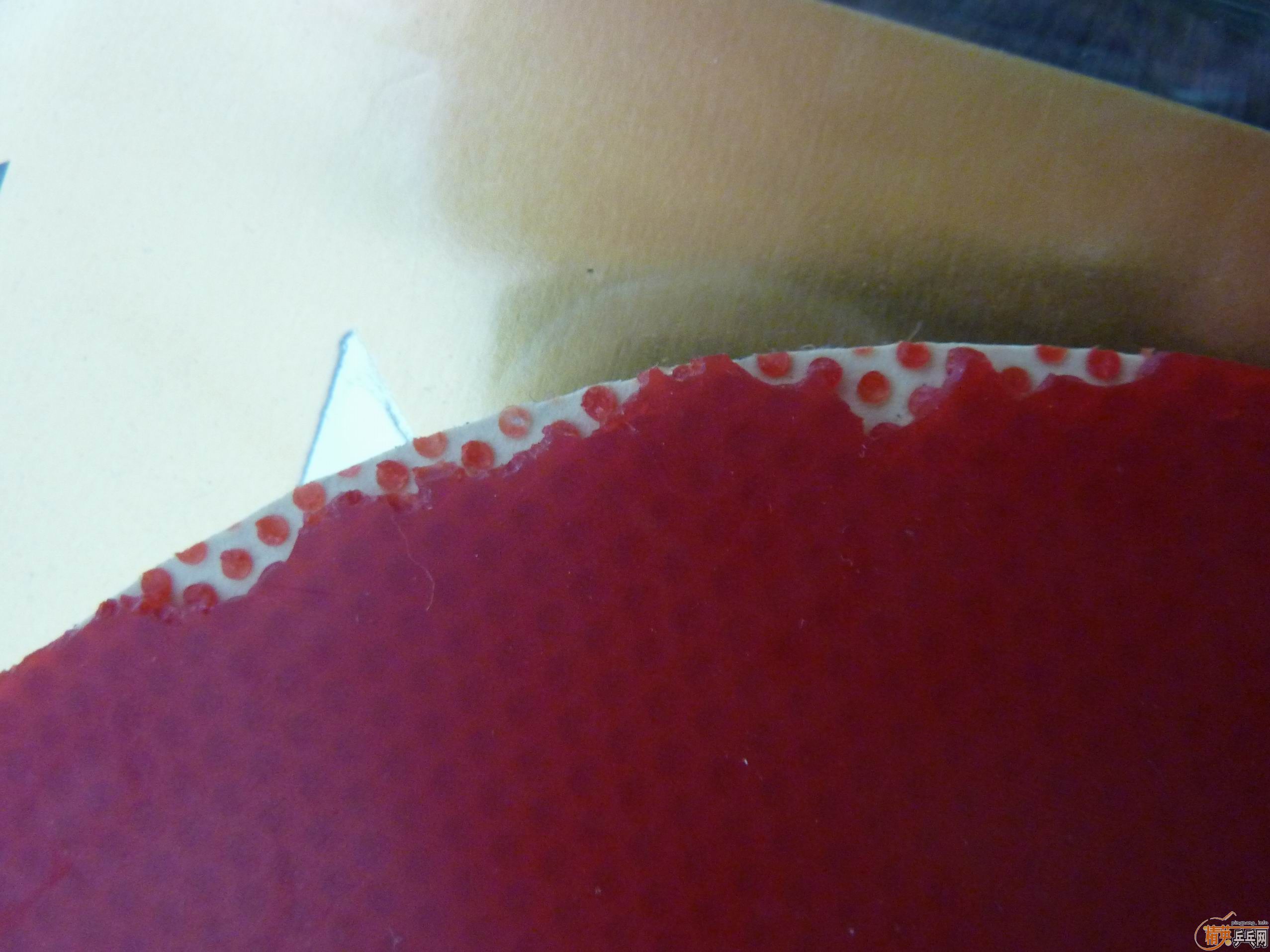 ��һ���׽���ŵ���ǡ�����֮��ͦ�λ�ɽ��729-08�������켫2��ͦ��legend���¾ɲ�һ������Żݡ�������ͼƬ̫��һ���ϲ��꣬���������С�������