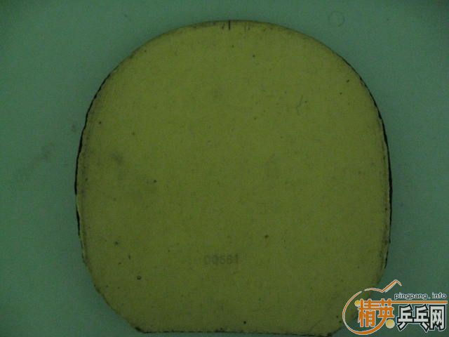 ���Ϻ�������3��