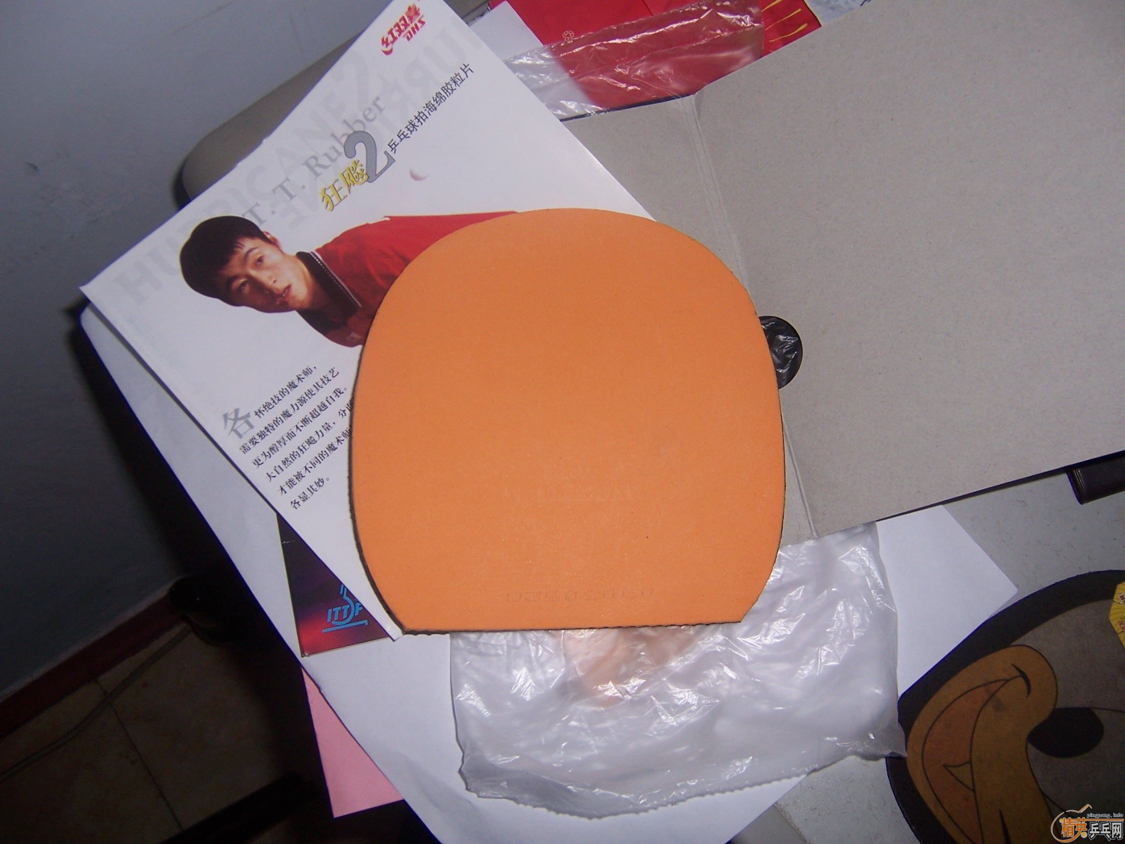 ������С��ͽ�Ƥ