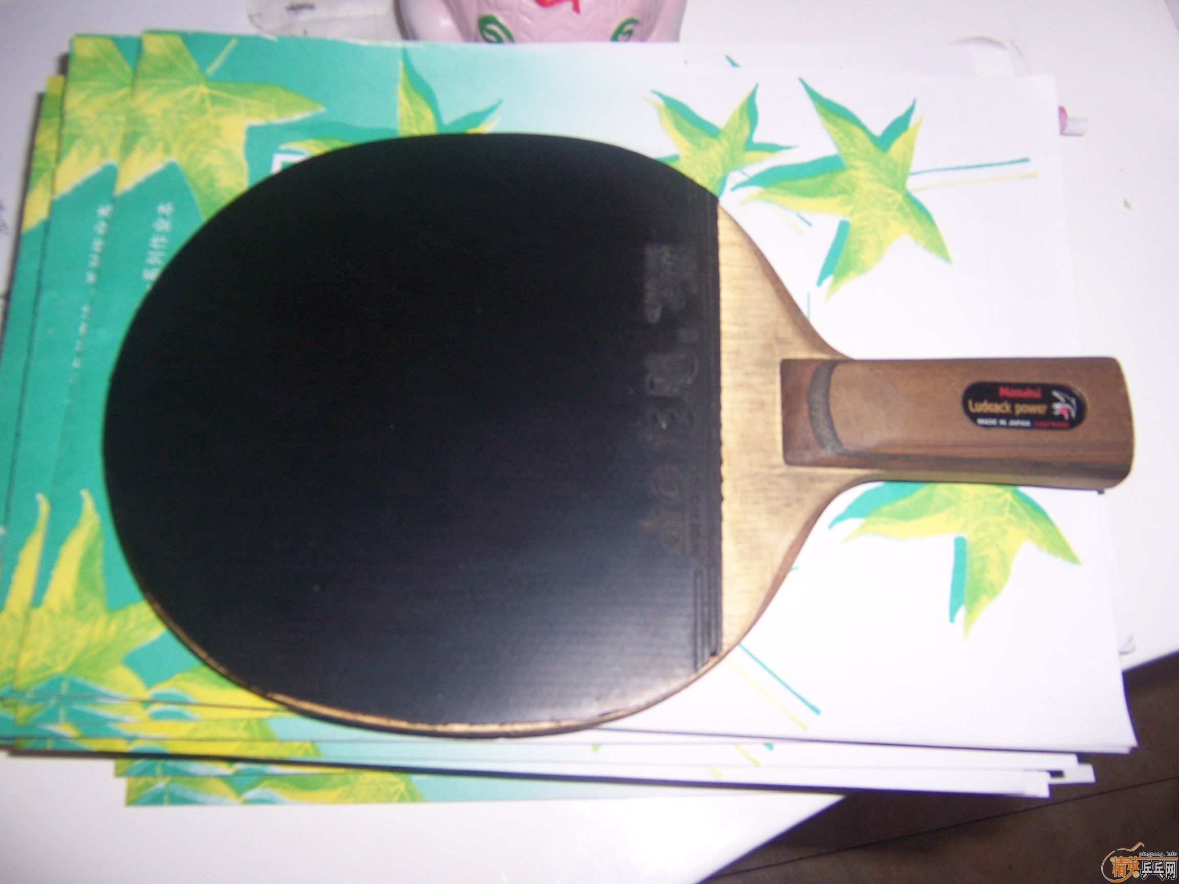 ������С��ͽ�Ƥ