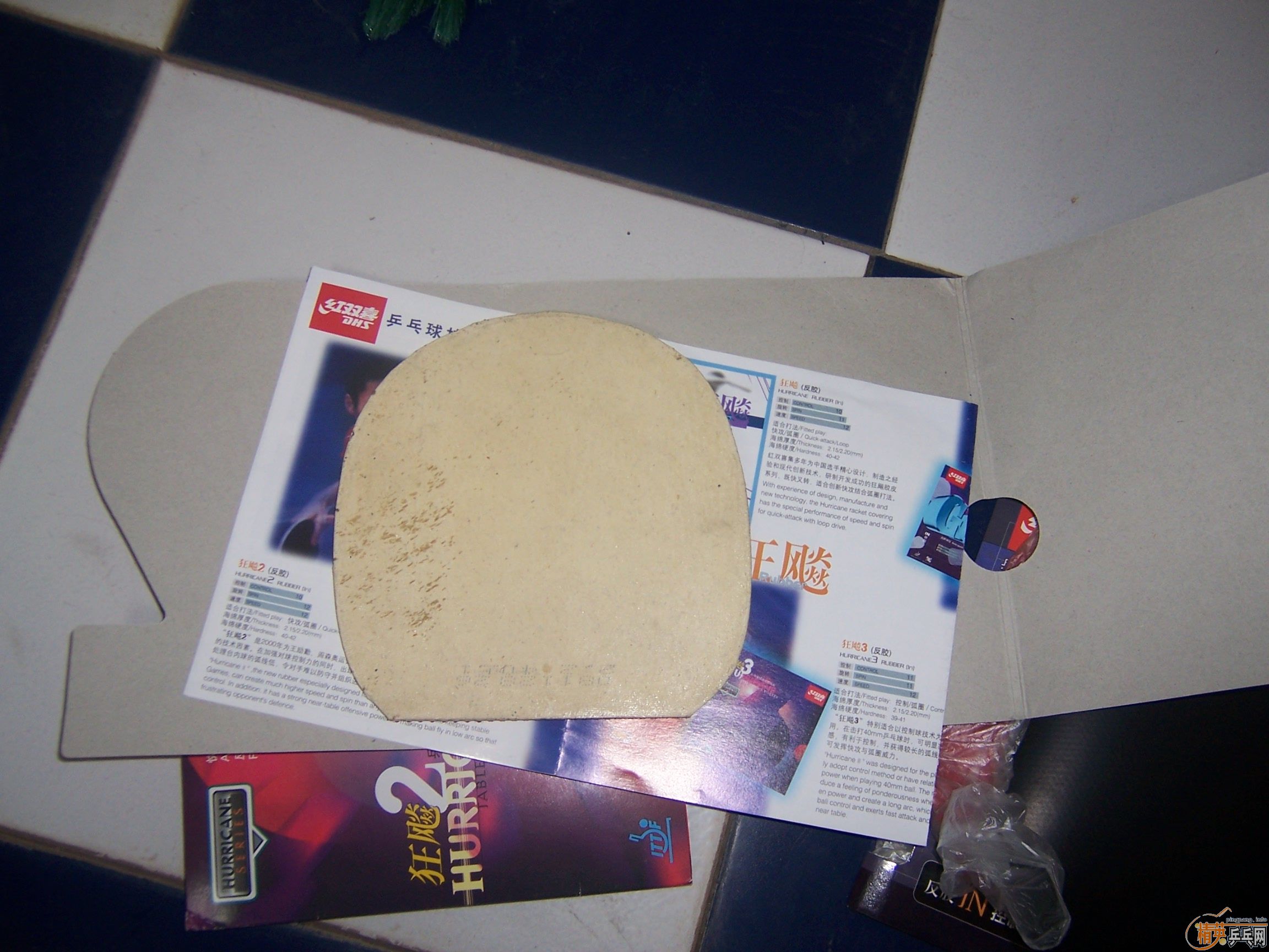 ������С��ͽ�Ƥ