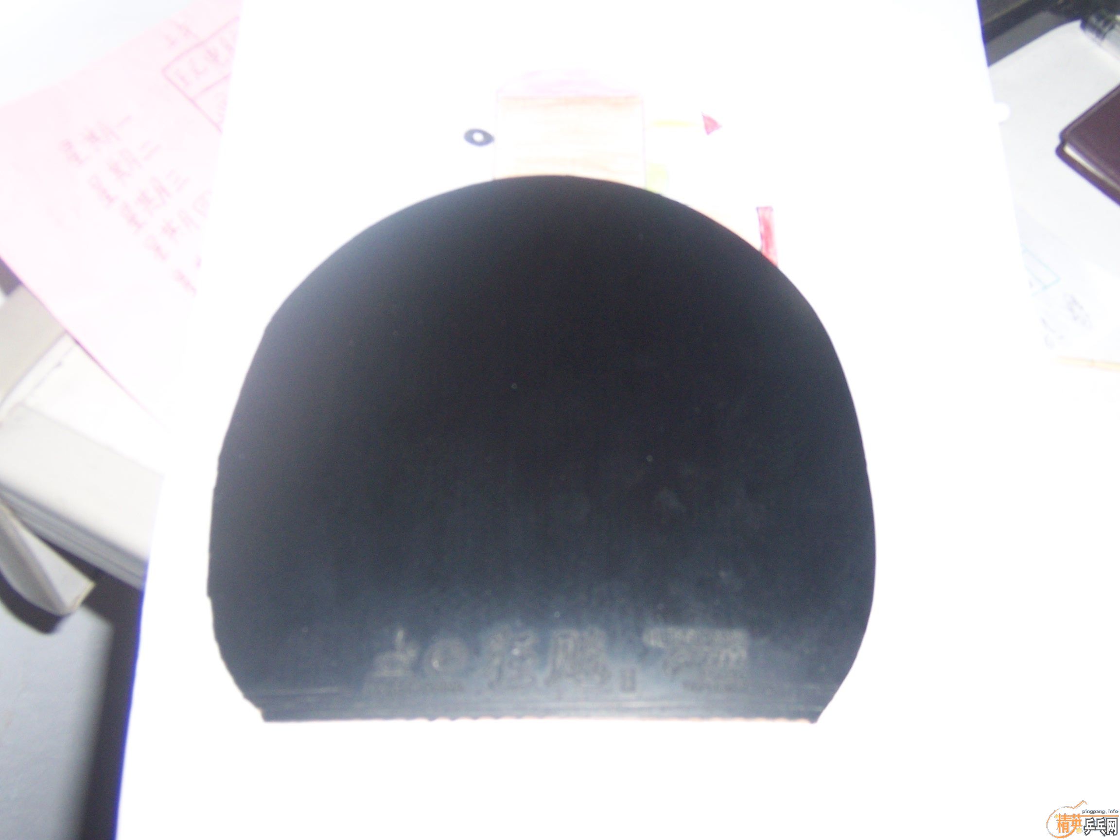 ������С��ͽ�Ƥ