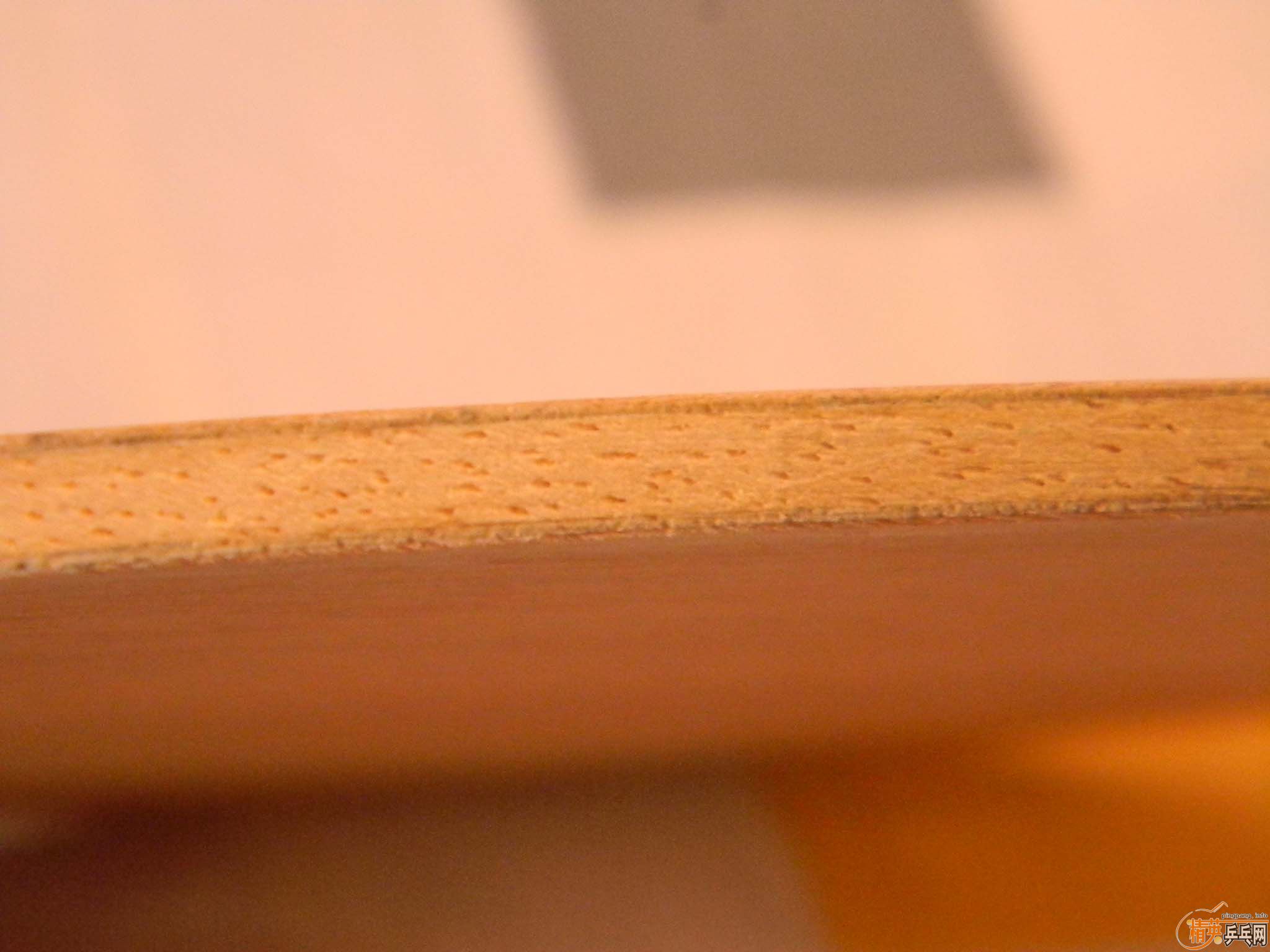 [ԭ��]���հ�YE 9�� �o�� ��֧����