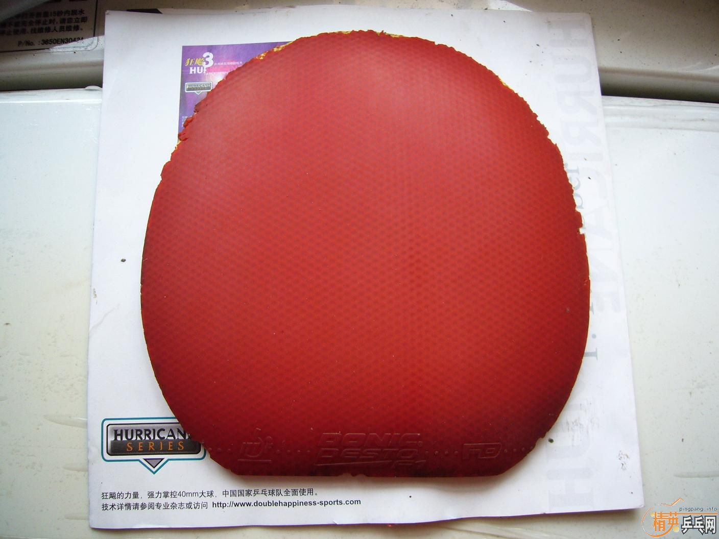 [����] �����׽�����������2 �� F1