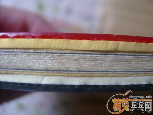 ������һ������2023�������á�100Ԫ���ʣ�����������¡�