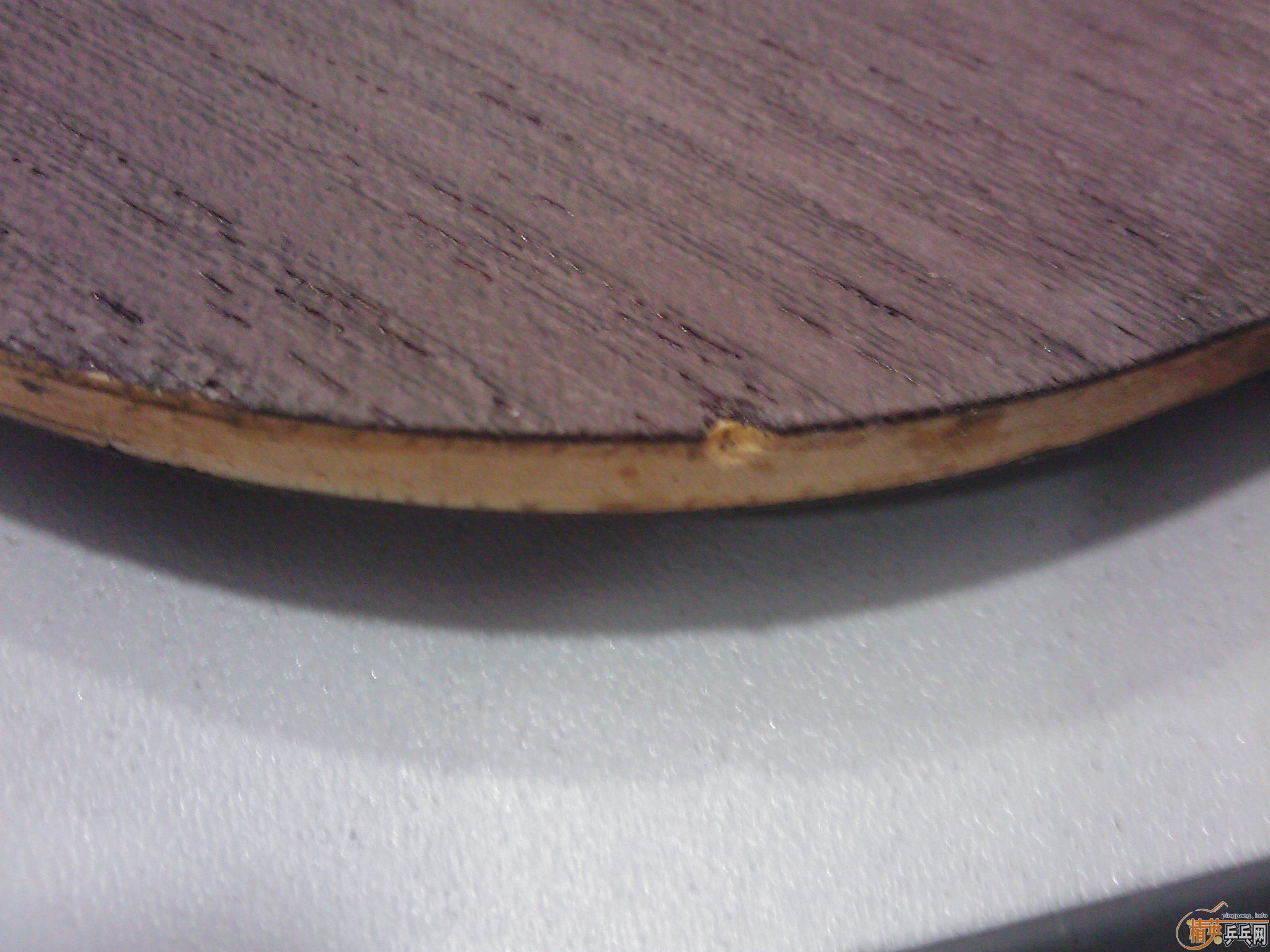 ���������Ʊ�����֧������