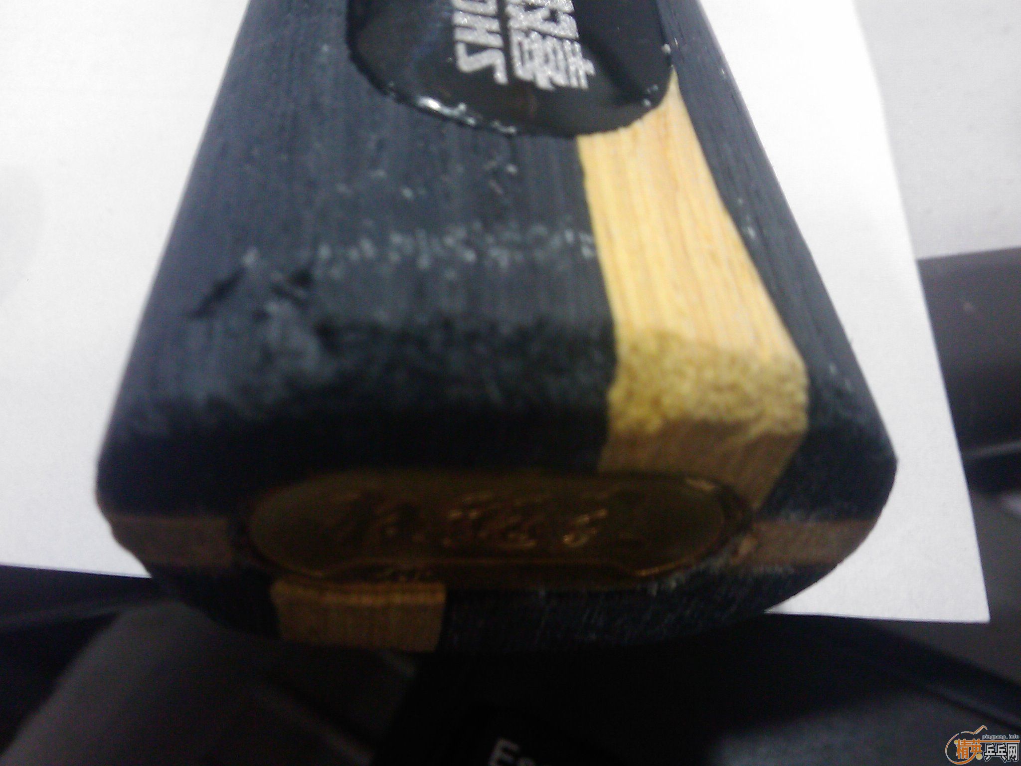 ���������Ʊ�����֧������