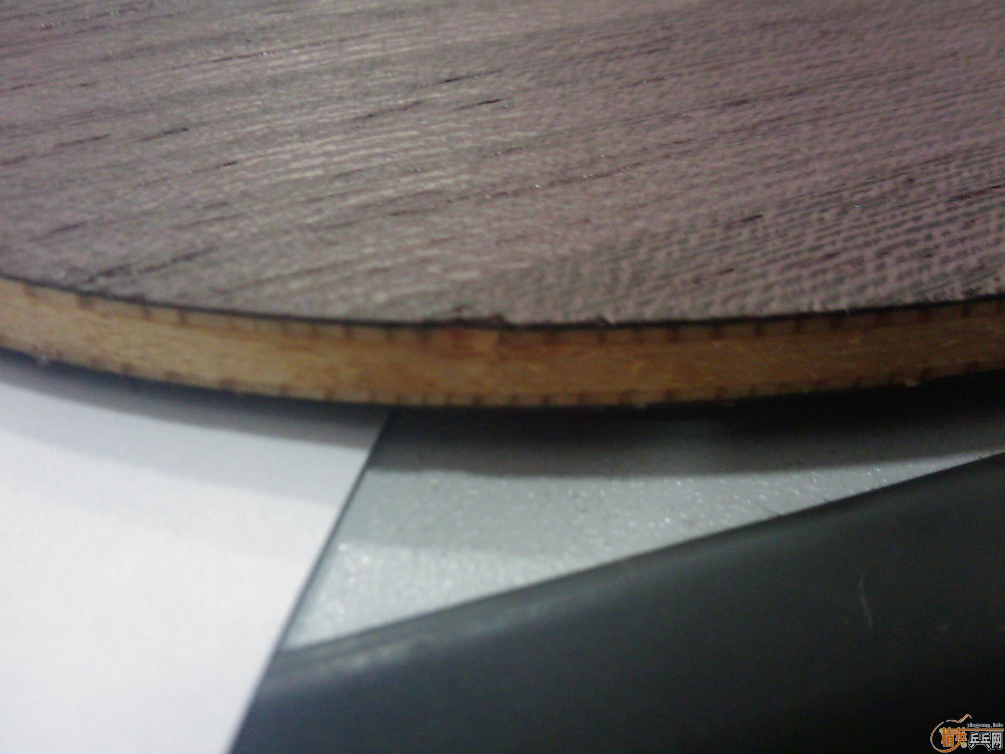 ���������Ʊ�����֧������