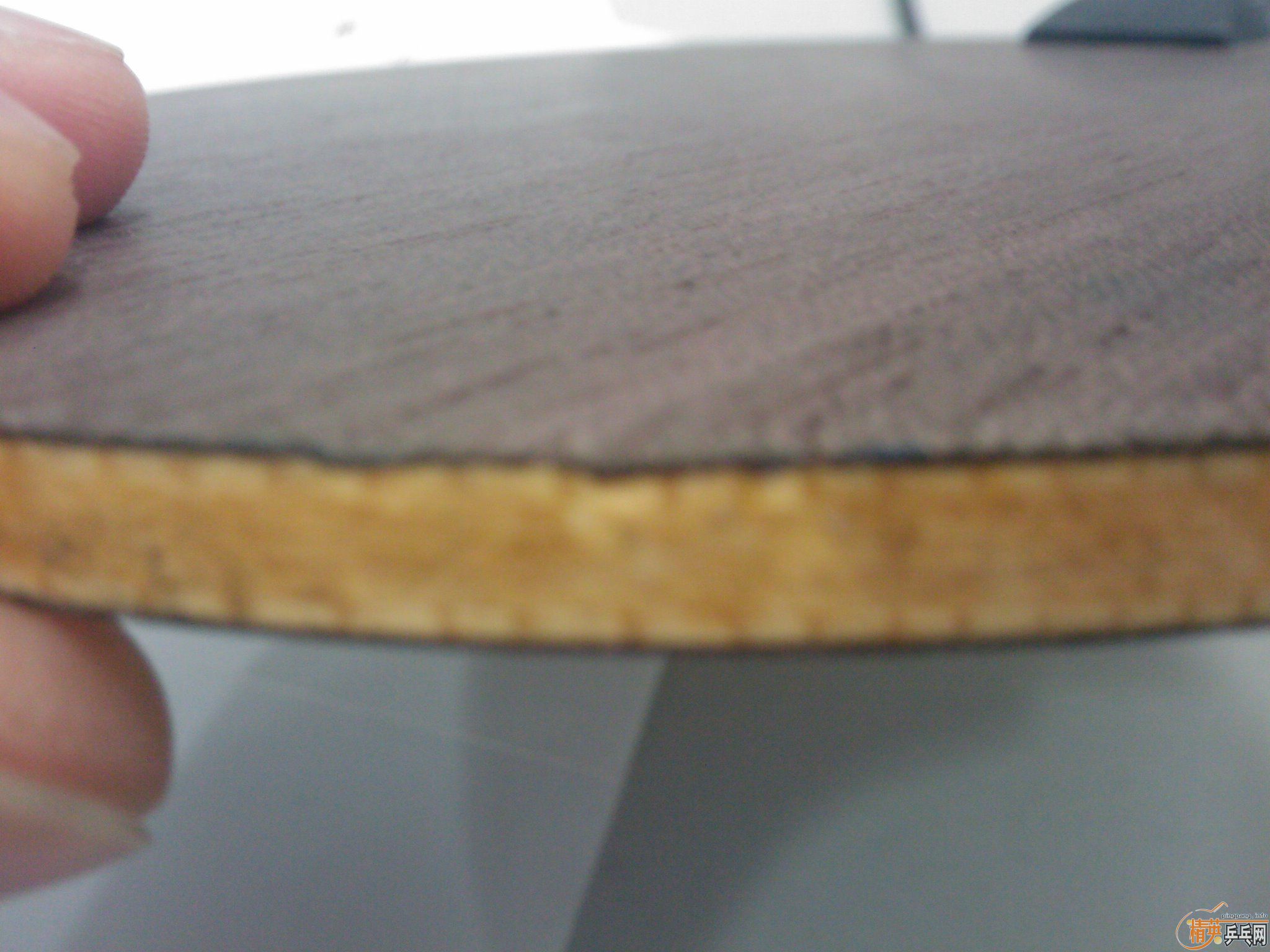 ���������Ʊ�����֧������