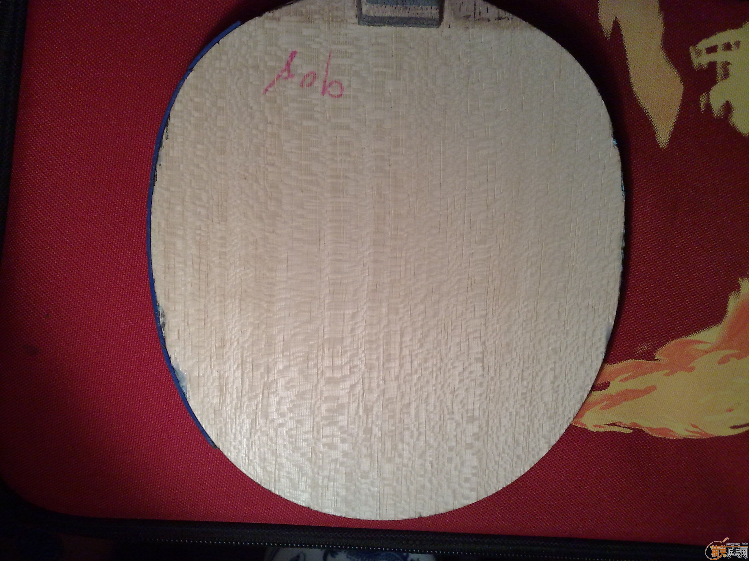 [ԭ��]�س������ƺ�����VIS���