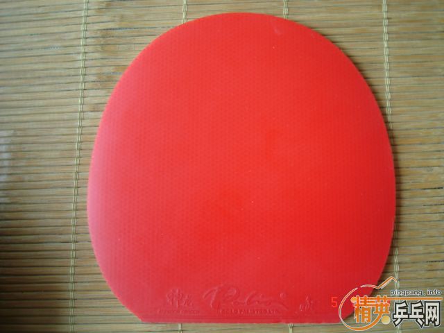 ʡ��TSP����ת�����տ��¾�Ʒ729��palio�������Ե�����