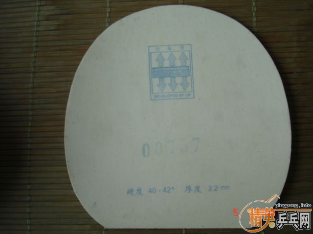 ʡ��TSP����ת�����տ��¾�Ʒ729��palio�������Ե�����