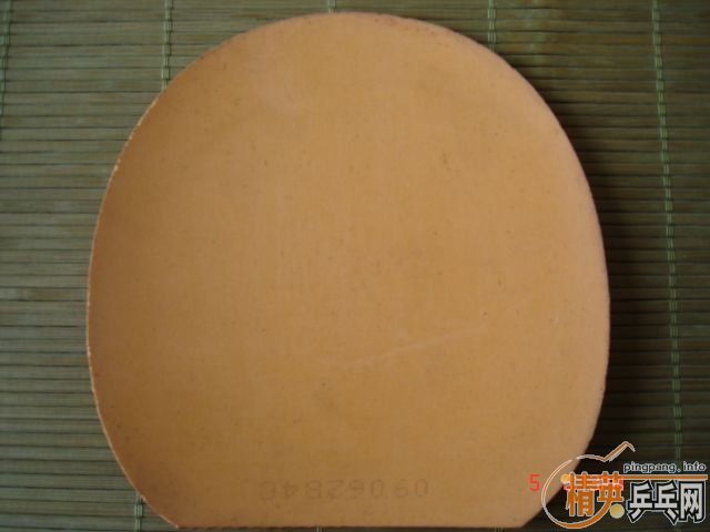 ʡ��TSP����ת�����տ��¾�Ʒ729��palio�������Ե�����