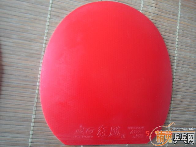 ʡ��TSP����ת�����տ��¾�Ʒ729��palio�������Ե�����