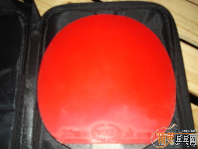 ʡ��TSP����ת�����տ��¾�Ʒ729��palio�������Ե�����