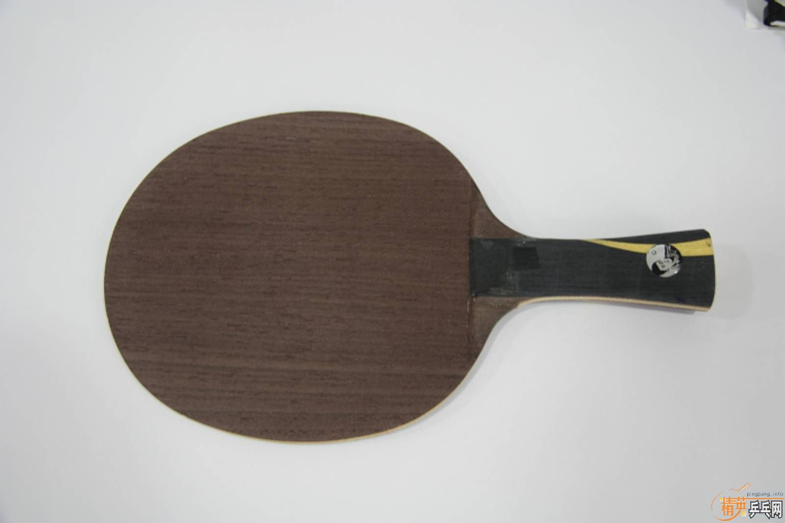 ���������Ʊ�����֧������