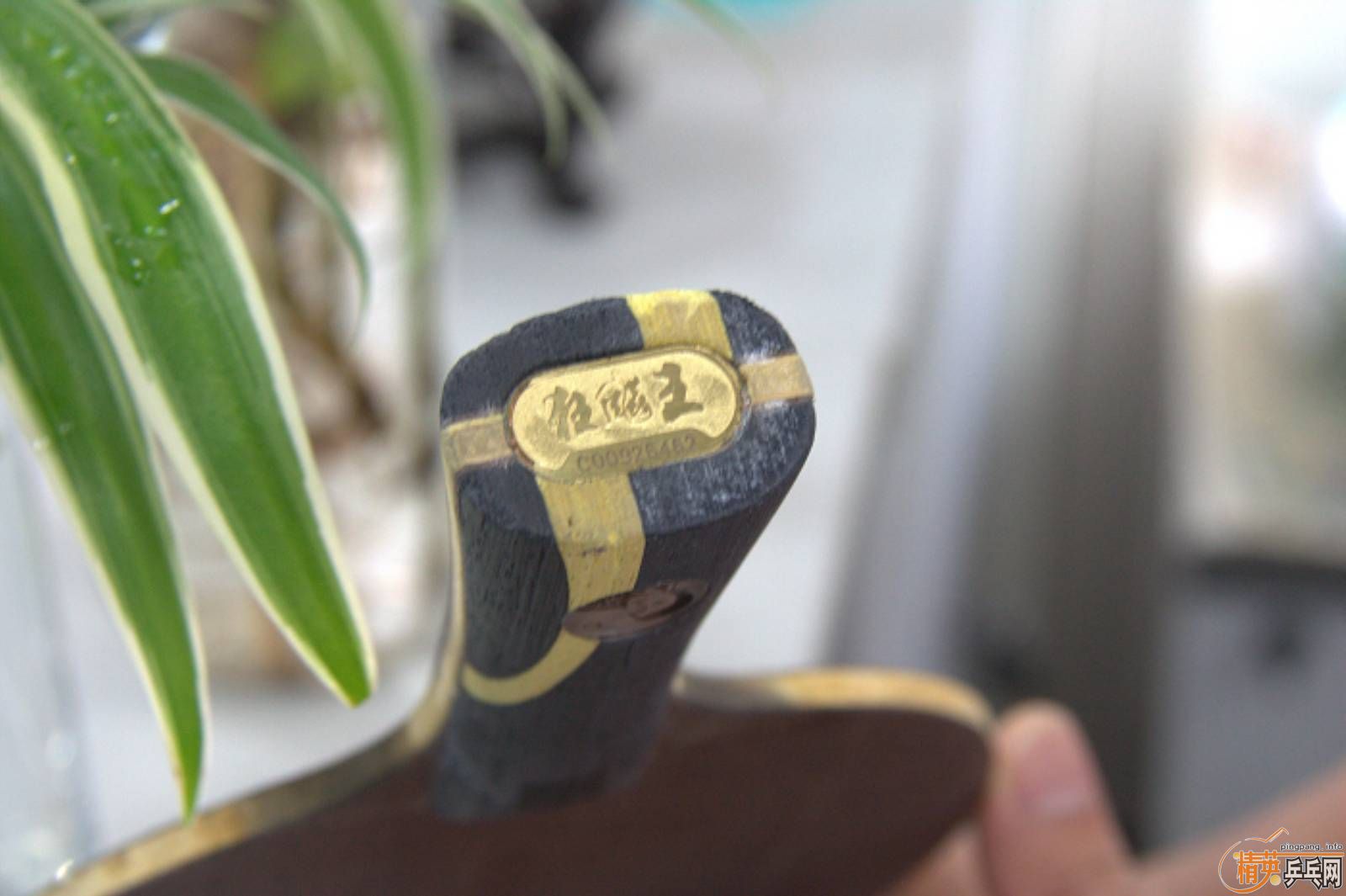 ���������Ʊ�����֧������