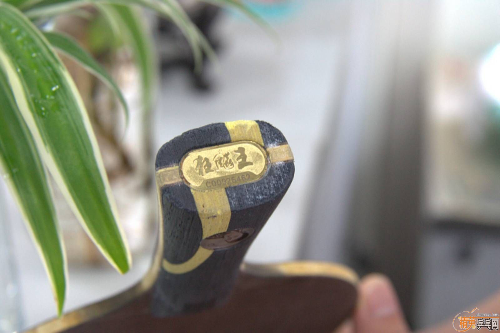 ���������Ʊ�����֧������