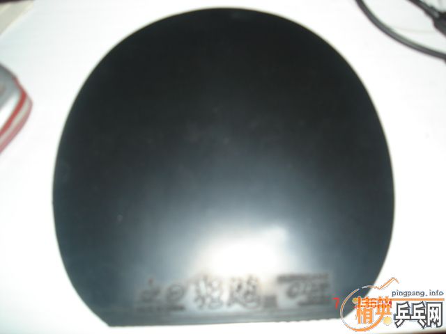 ʡ��TSP����ת�����տ��¾�Ʒ729��palio�������Ե�����