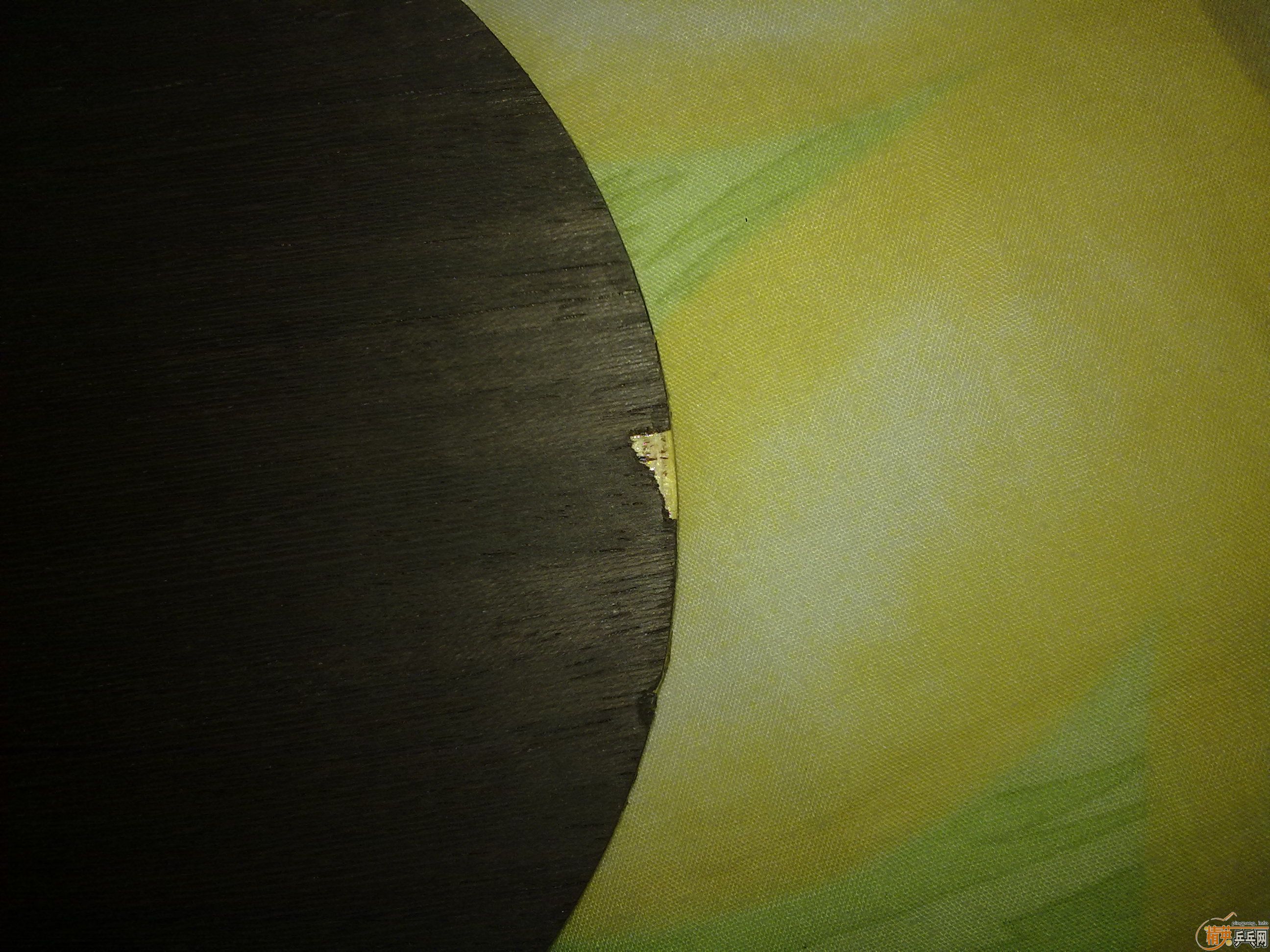 ��FL���� Ҫ�Ľ�������