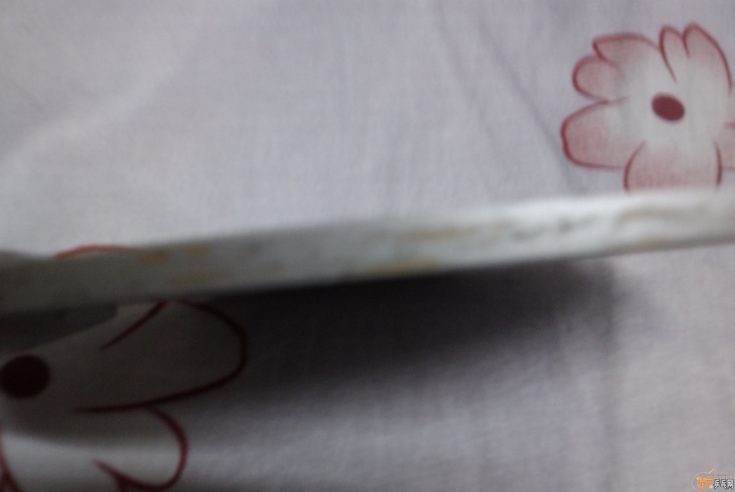 [ԭ��] DONIC SILVER  ARROW