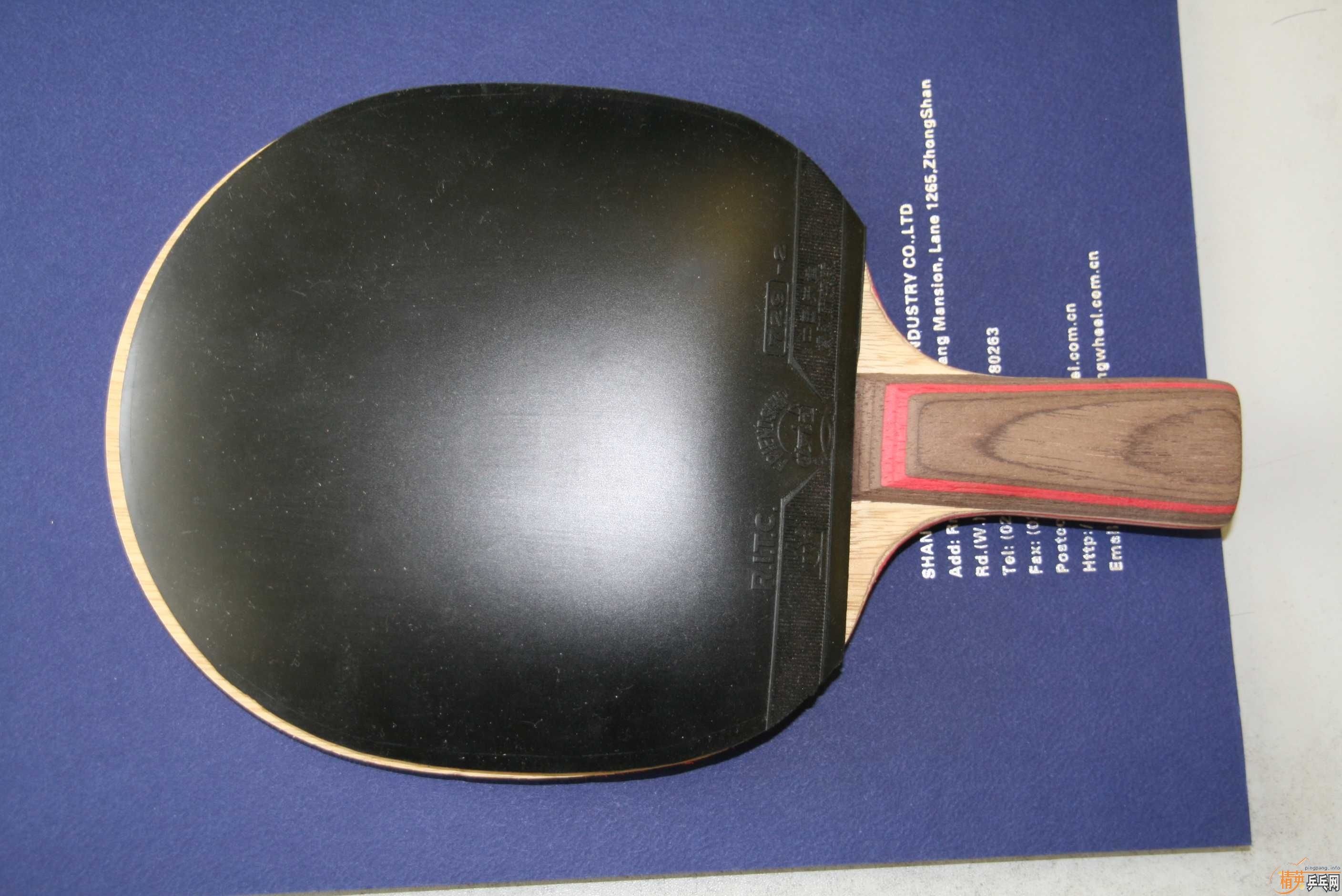 ��ŷ��CL��9.5C���£�240������729�׽�+����