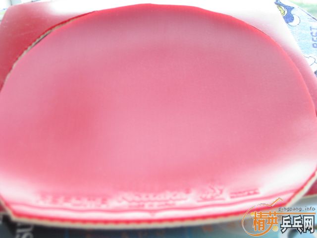 REFOMA �׸��� ���� ������ �����׽�