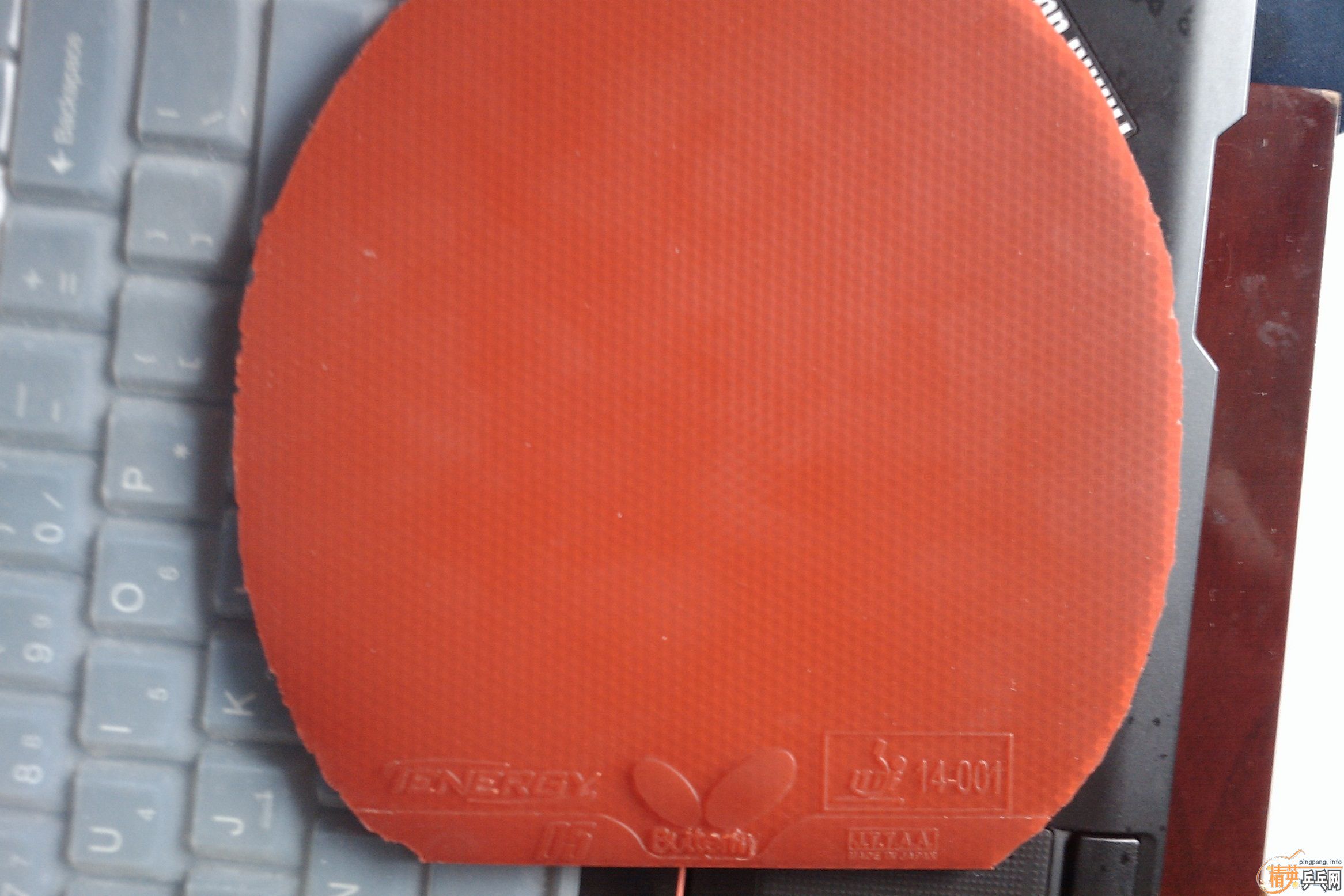 �ͼ۳�9���º�ɫT05������ͼ��