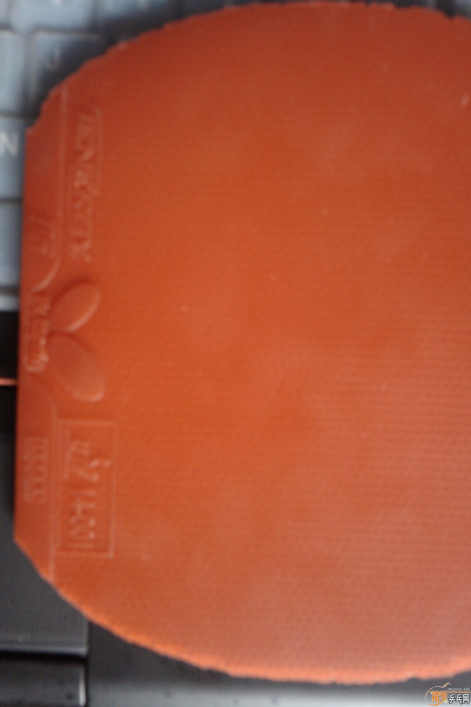 �ͼ۳�9���º�ɫT05������ͼ��