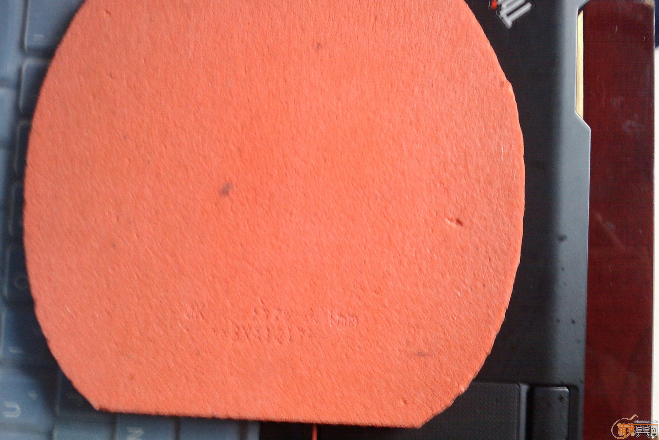 �ͼ۳�9���º�ɫT05������ͼ��