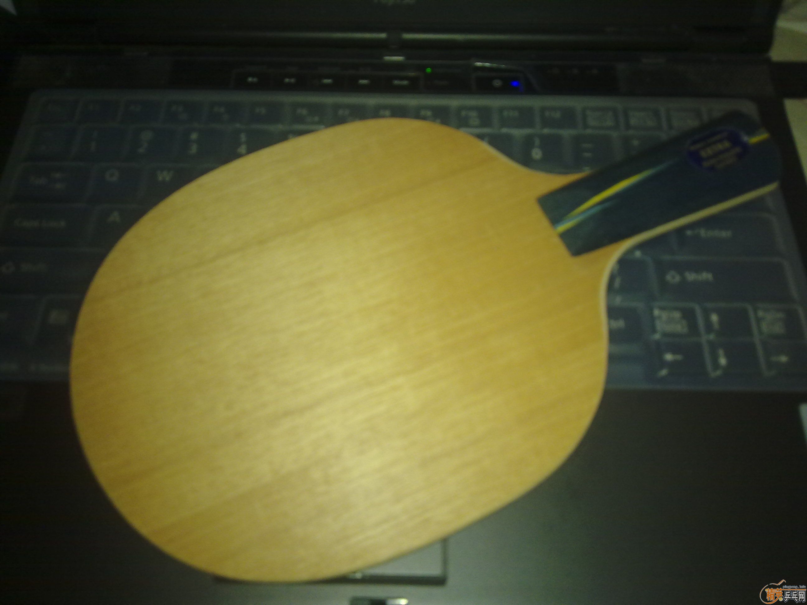 ����  �ϸ�ͦYE  Yasaka extra , �O�� �Q ����  ����