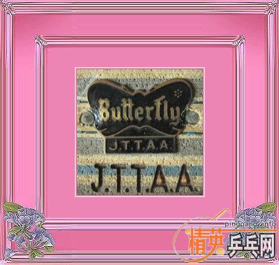 ��BUY������BUY  BUTTERFLY   ��  VISCARIA  AND SPIRIT�������