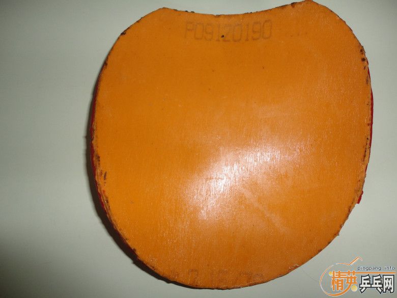 39�����ʡ��40 ��41�����ʡ���ɫ