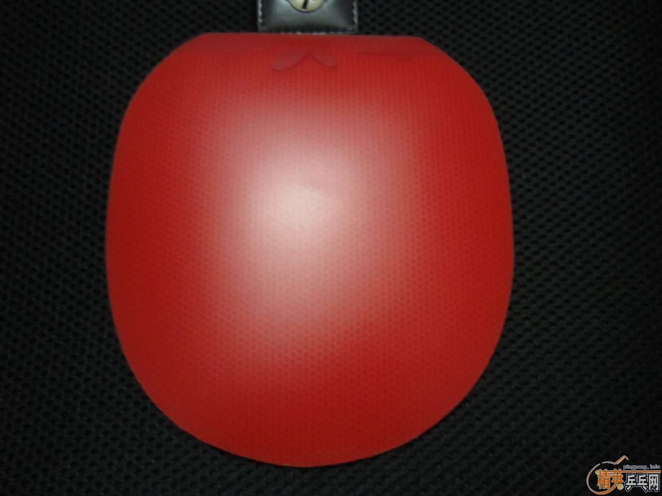 YEO ���ٶȴ��FX  YO40 F1