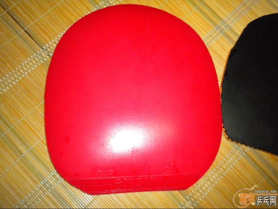 speedoͽƤף98 ׽ Ӿ