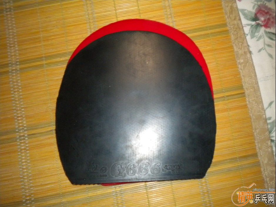 speedoͽƤף98 ׽ Ӿ
